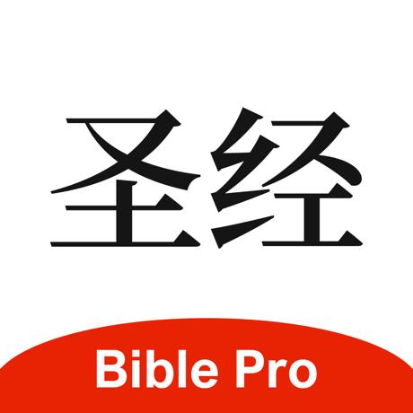 圣经txt下载2026