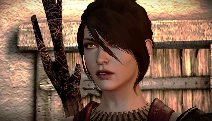 龙腾世纪起源截图