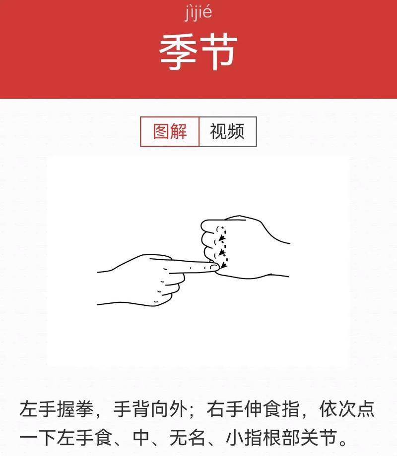 国家手语版截图