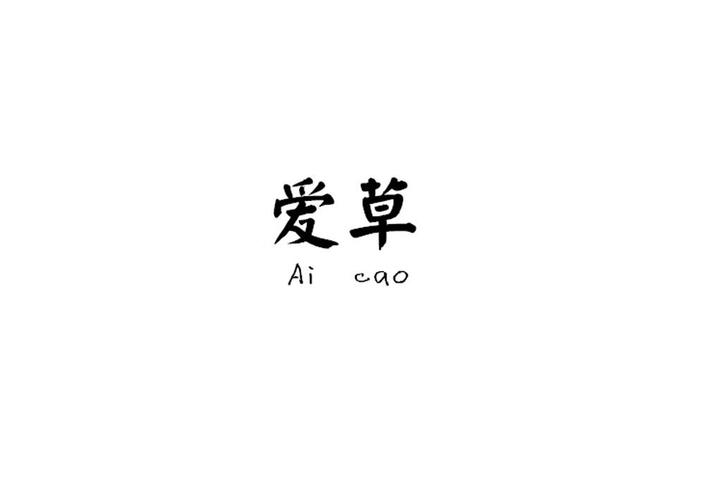 爱草免费视频2026