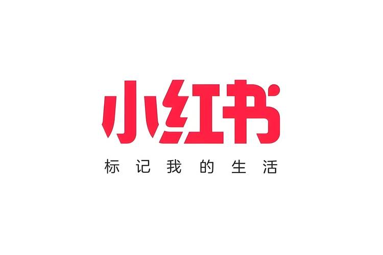 小红书视频下载2026