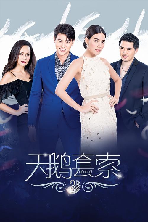 天鹅影视软件下载截图