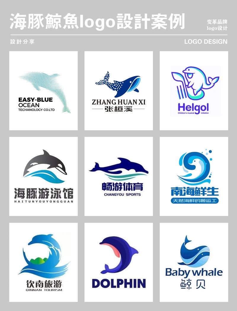 海豚视频2026