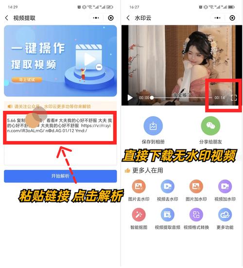 红杏免费视频2026