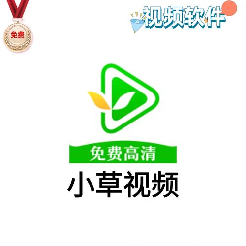 草草视频在线2026