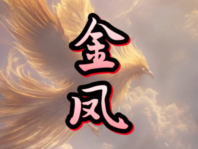 金凤直播app下载