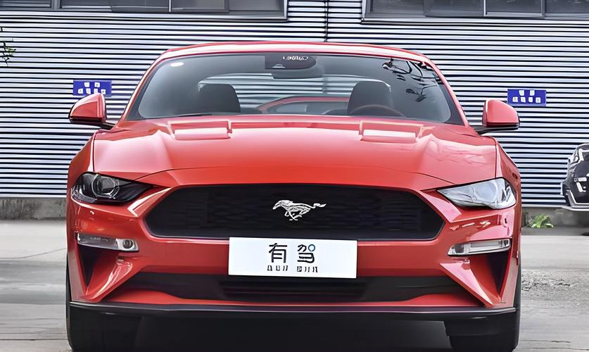 野马视频2026