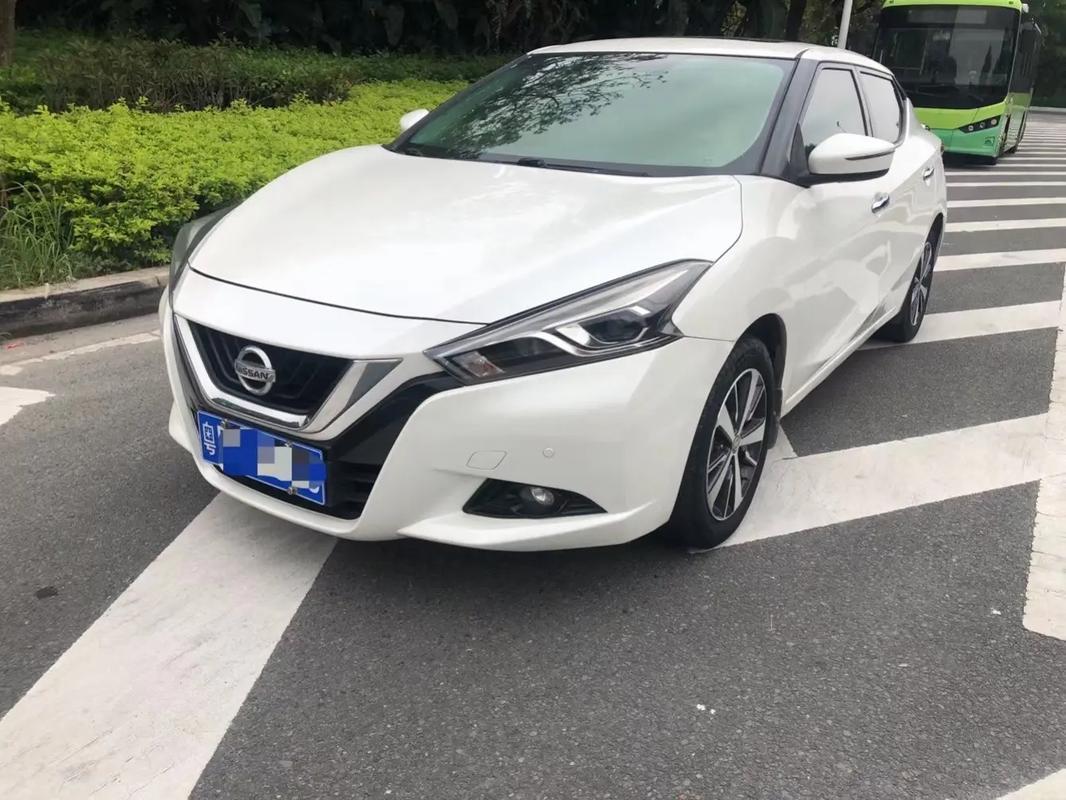 蓝鸟视频app最新版下载截图