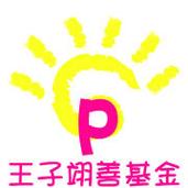 王子视频2026