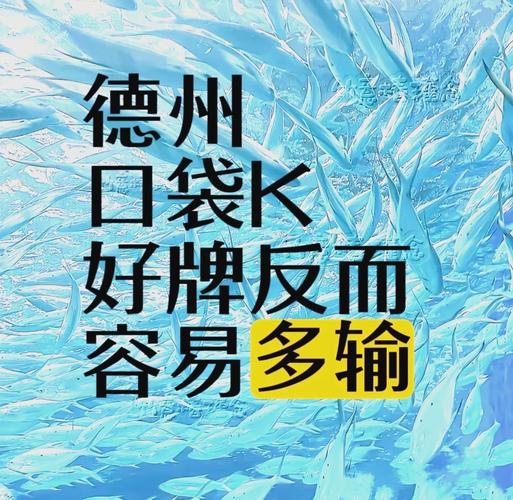 口袋德州app下载2026