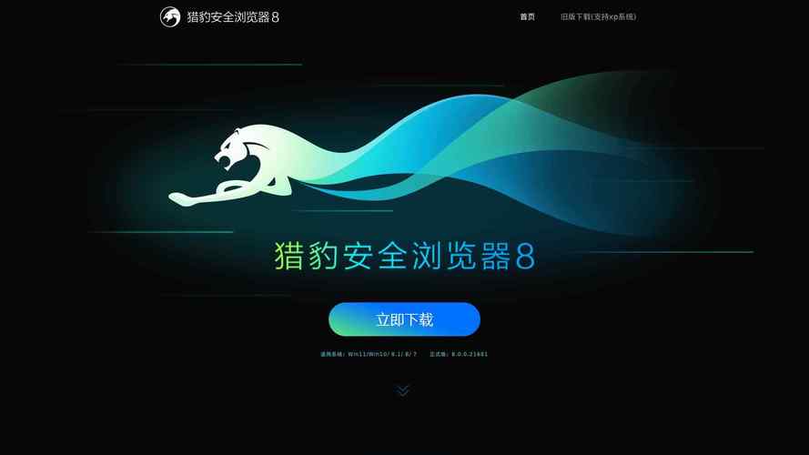 猎豹浏览器下载截图