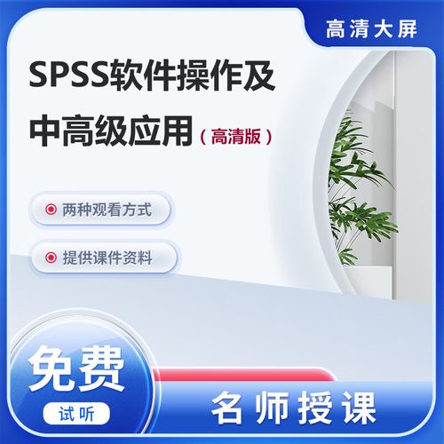 spss软件截图