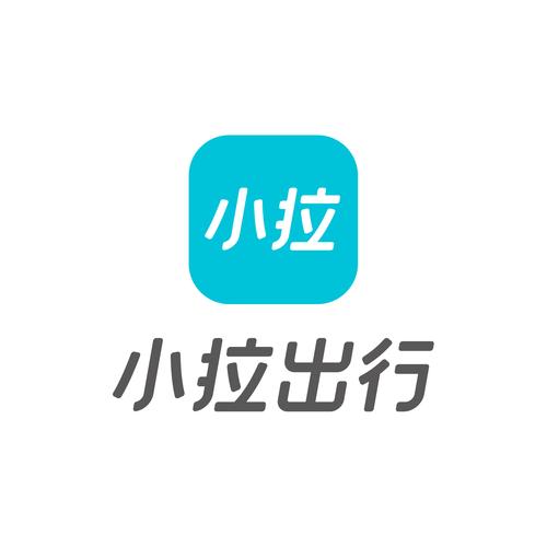 小拉出行司机版