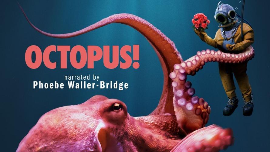 章鱼影视app最新版下载截图