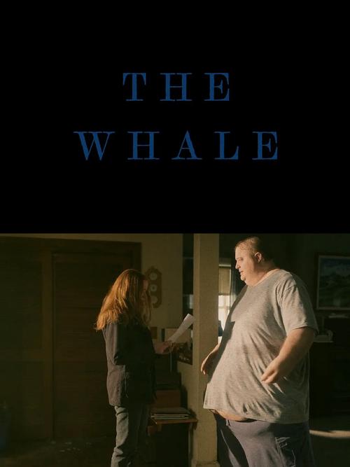 鲸看看影视最新版截图