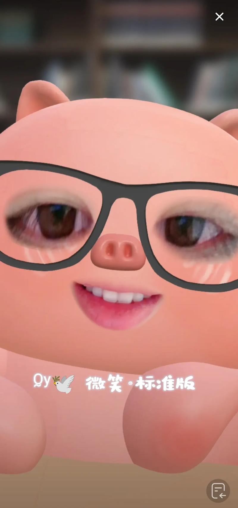 小猪直播app下载截图