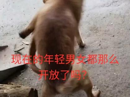 叨嗨视频2026截图