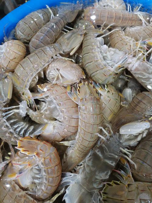 皮皮虾app免费下载截图