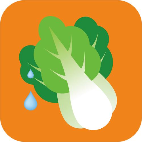 大白菜下载2026