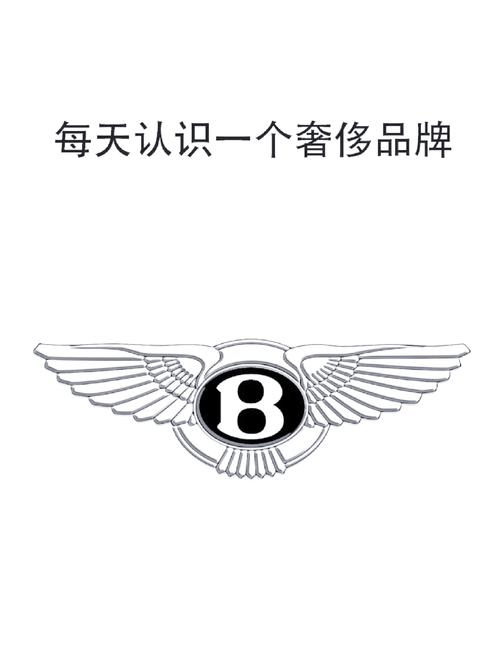 宾利视频2026