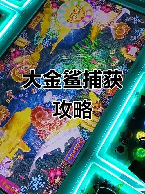 大金鲨游戏截图