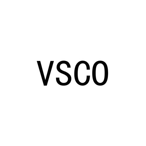 vsco官网下载2026