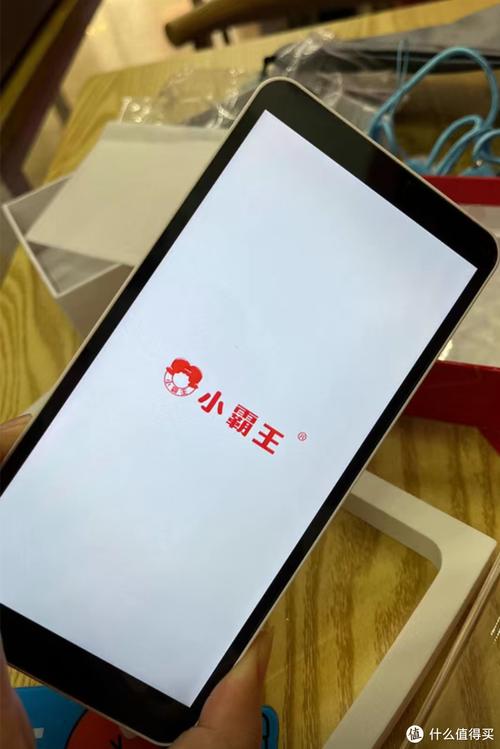 小霸王辅助官网