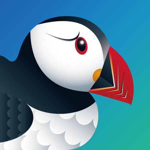 puffin浏览器下载2026