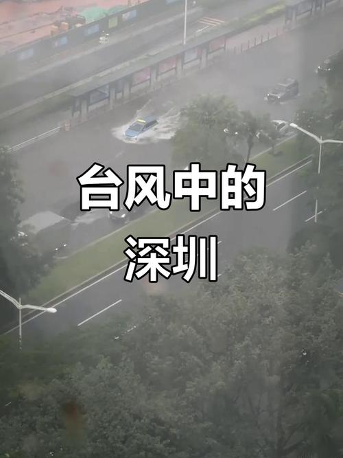 深圳台风网2026