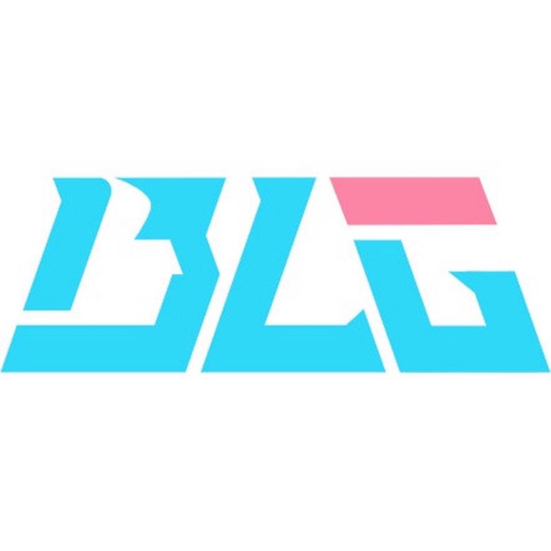 bl游戏下载2026