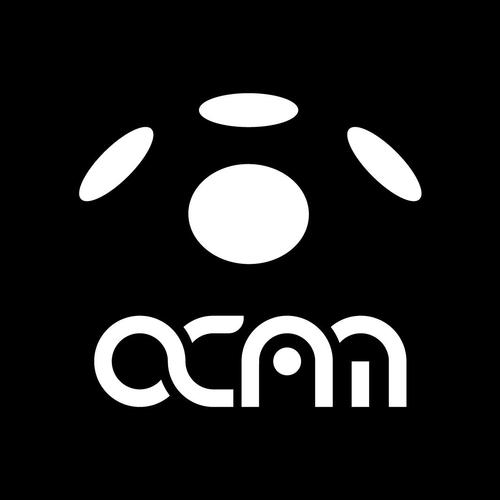 ocam下载2026