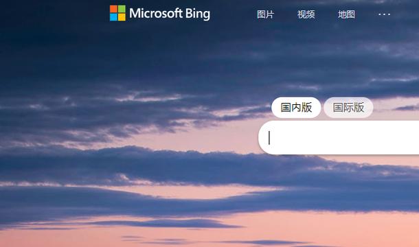 必应国内版截图