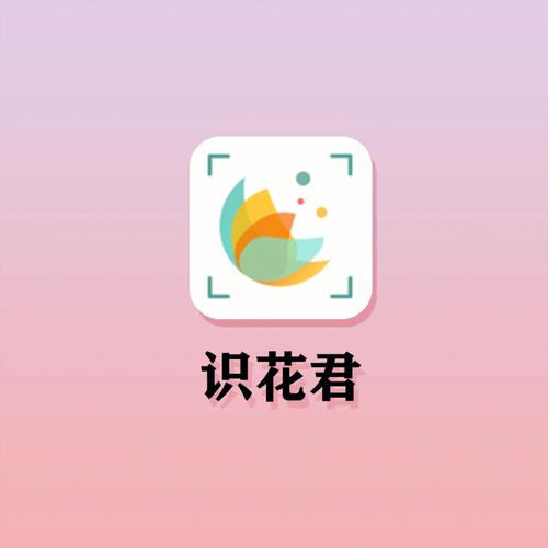 识花君免费下载2026