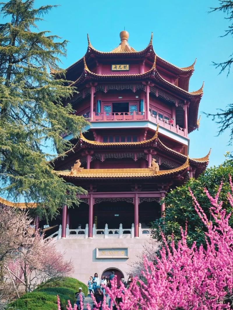 雨花阁搜索app截图