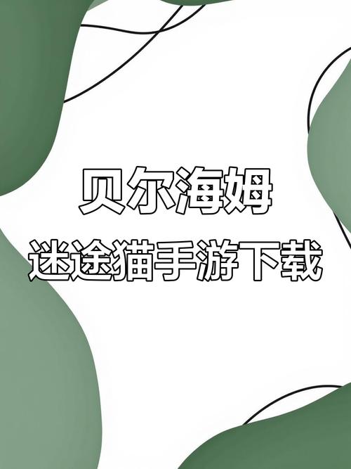 迷途猫