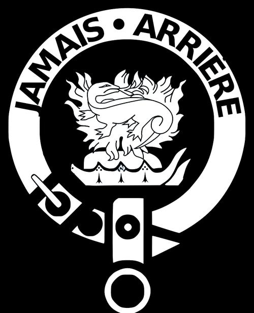 沙罗曼蛇下载2026