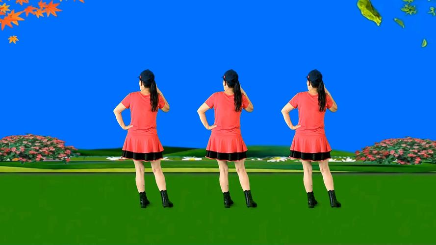 广场舞视频下载截图