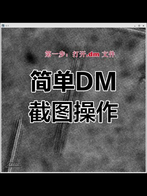 dm下载
截图