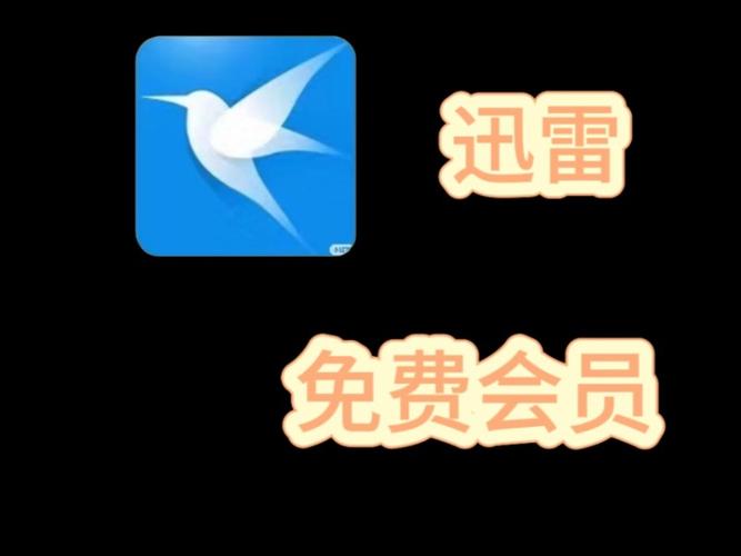 迅雷app会员免费版截图