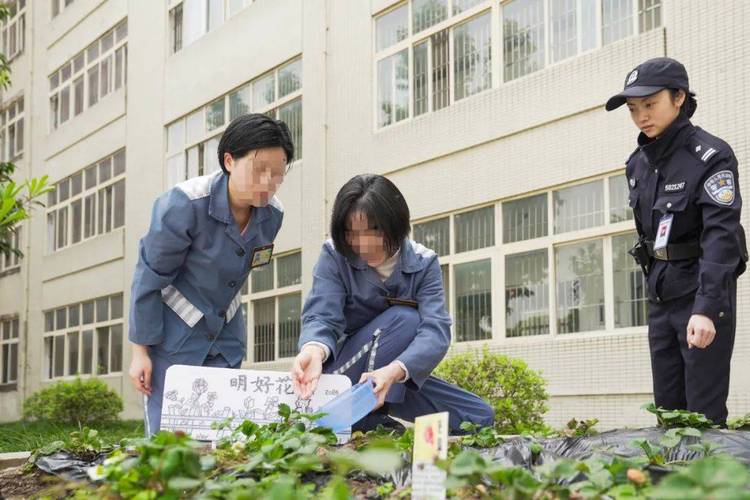 女子监狱下载2026