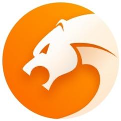 猎豹浏览器下载2026