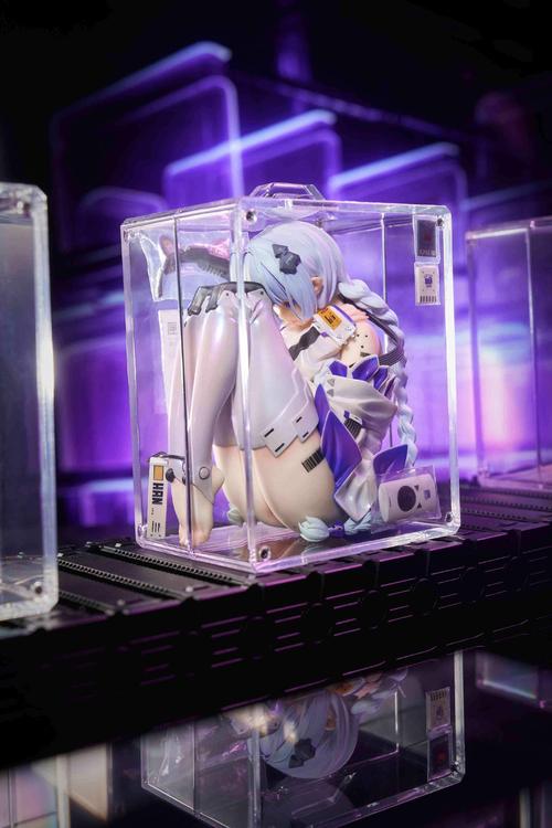 箱入少女2026