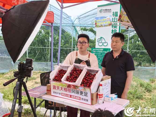 阴桃直播最新版