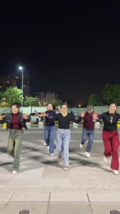 广场舞视频下载截图