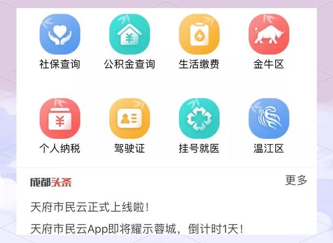 天府市民云app