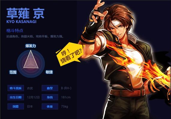 拳皇97风云再起下载