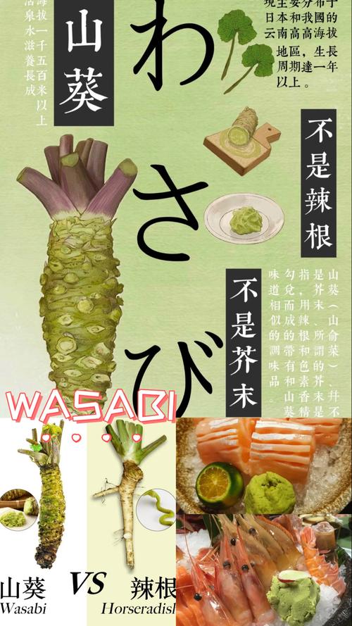 wasabi2026