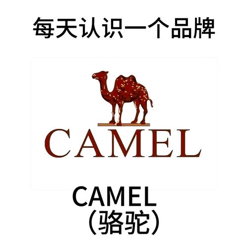 骆驼直播下载免费版