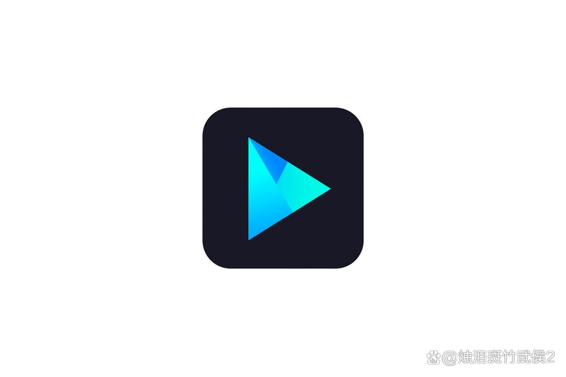 vidmore player下载