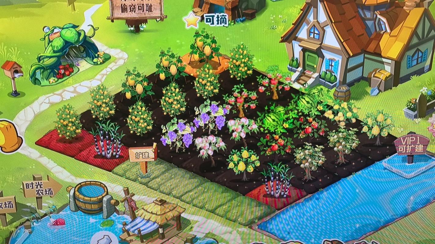 qq农场软件
截图